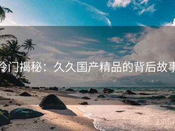 冷门揭秘：久久国产精品的背后故事