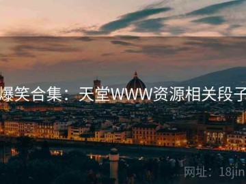 爆笑合集：天堂WWW资源相关段子