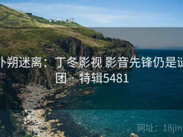 扑朔迷离：丁冬影视 影音先锋仍是谜团 · 特辑5481