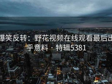 爆笑反转：野花视频在线观看最后出乎意料 · 特辑5381