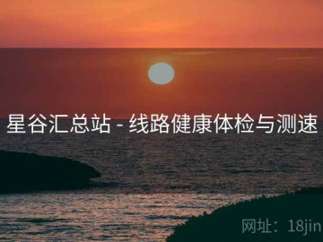 星谷汇总站 - 线路健康体检与测速
