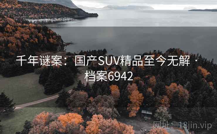 千年谜案：国产SUV精品至今无解 · 档案6942